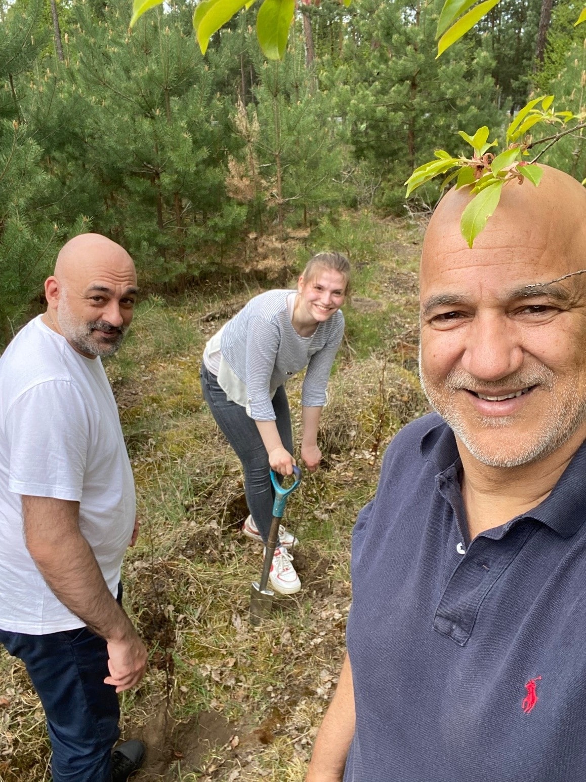IDEAL Vorsorge pflanzt Rotbuchen in Brandenburg