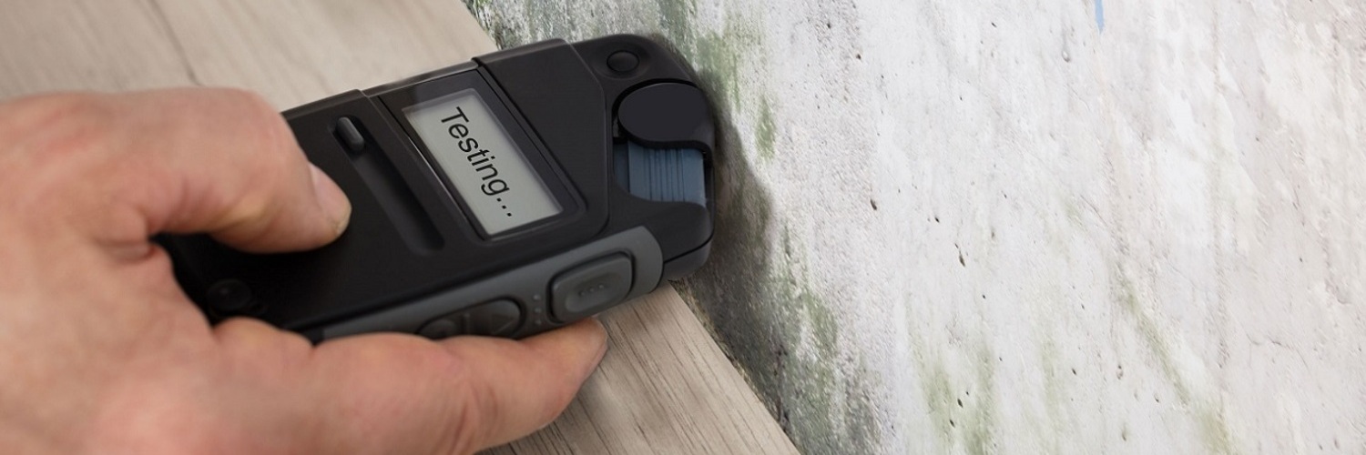 Schimmel in der Wohnung – Welche Versicherung zahlt?