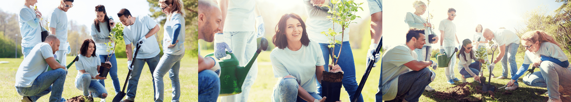 Wir starten mit einem Klimaschutzprojekt und pflanzen Bäume